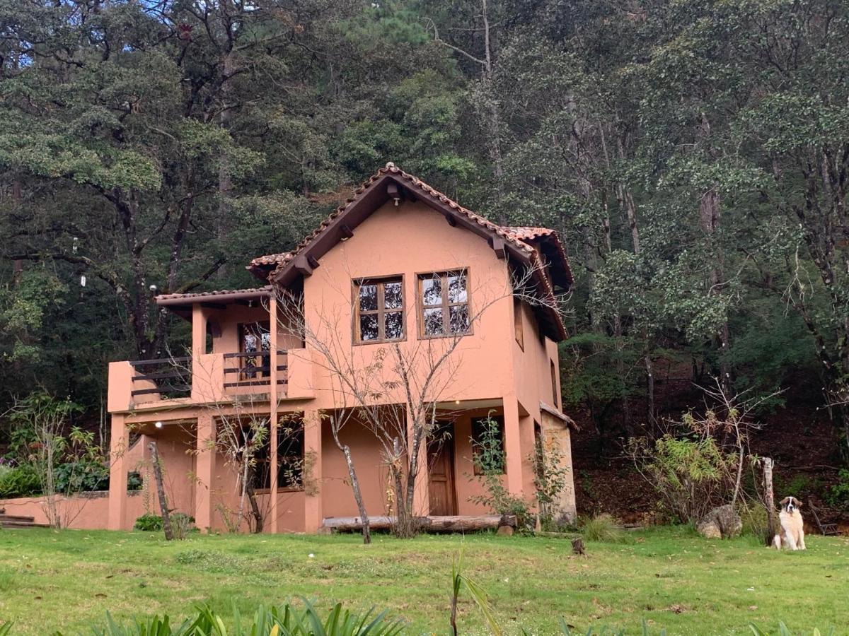 Cortijo La Casona & Bungalow Al Pie De La Montana San Cristóbal de Las Casas Dış mekan fotoğraf
