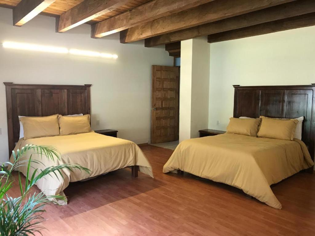 Cortijo La Casona & Bungalow Al Pie De La Montana San Cristóbal de Las Casas Dış mekan fotoğraf